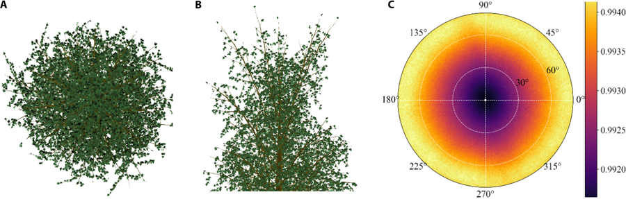 How forest structure alters heat signals