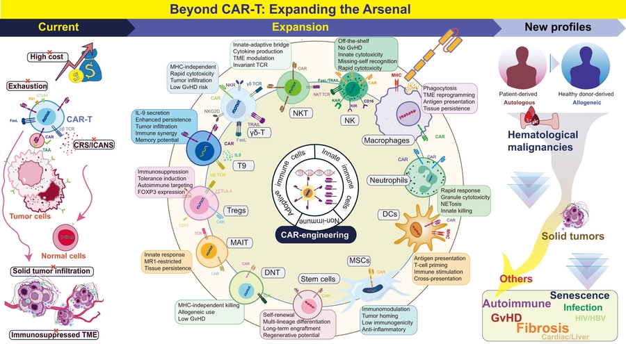 CAR therapy moves beyond cancer