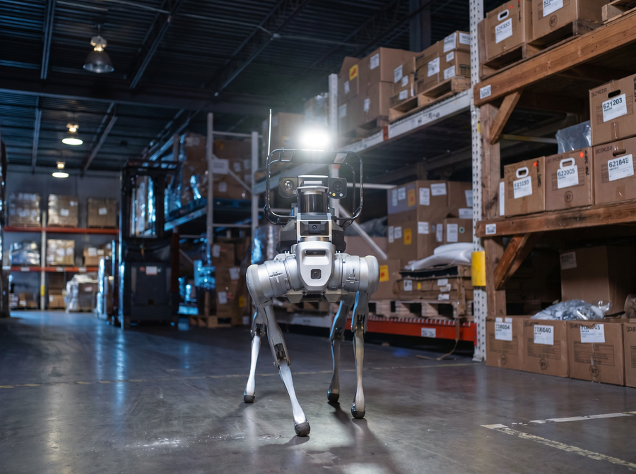 GoLabs Launches Custom Robotics Security Initiative Using Unitree Quadrupeds