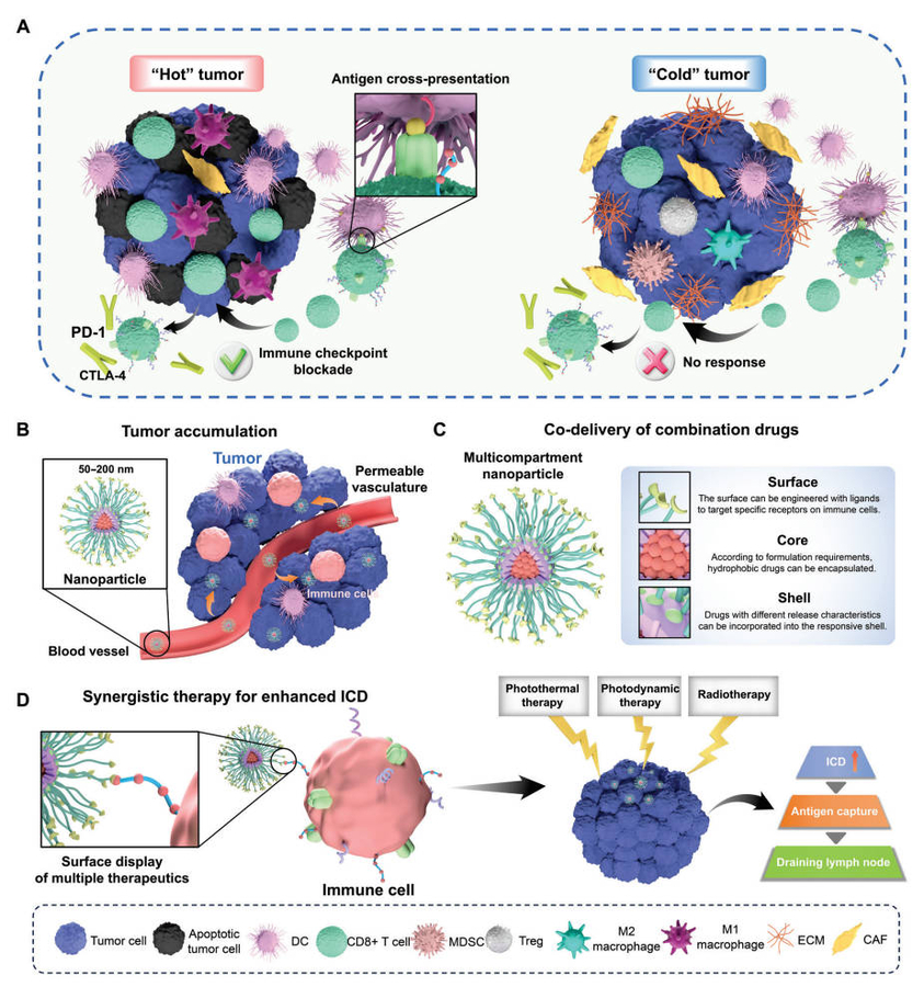 Smart nanoparticles turn ‘cold’ tumors hot: A new era in cancer immunotherapy