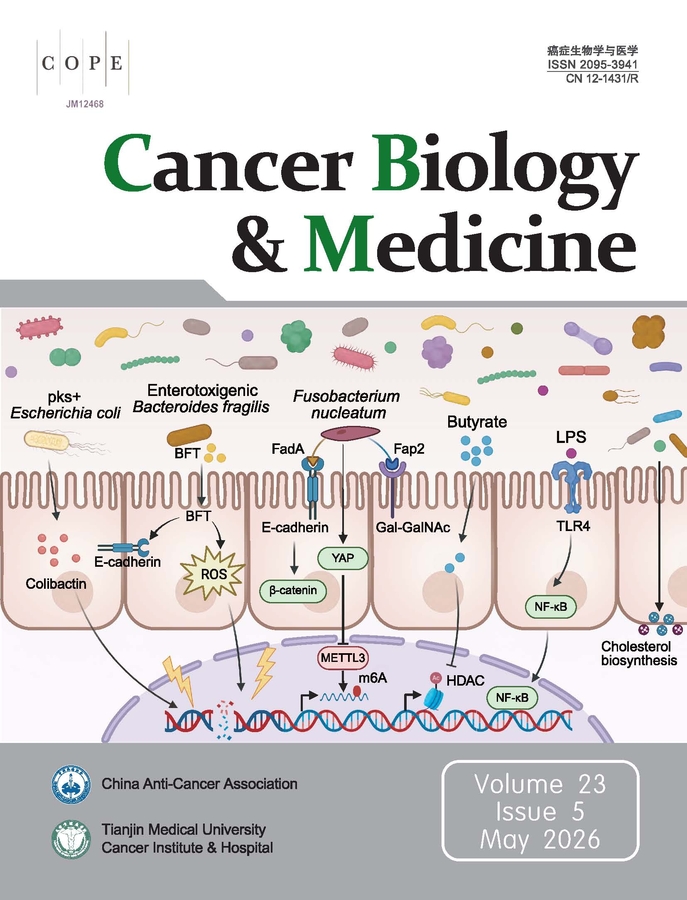 Microbiome and cancer: From passive bystanders to active players