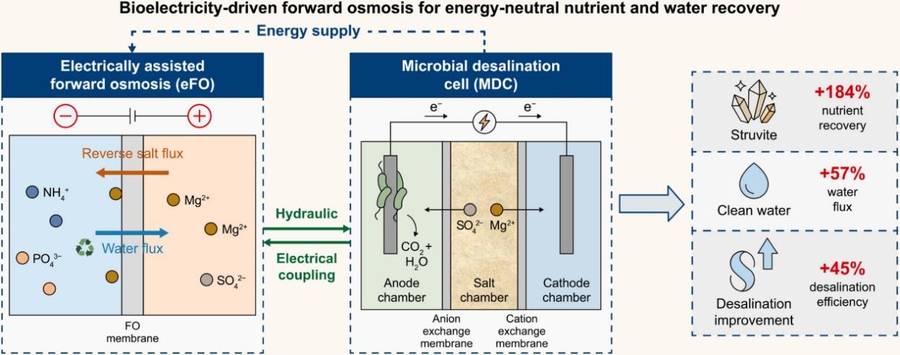 Self-powered system turns wastewater into water and fertilizer