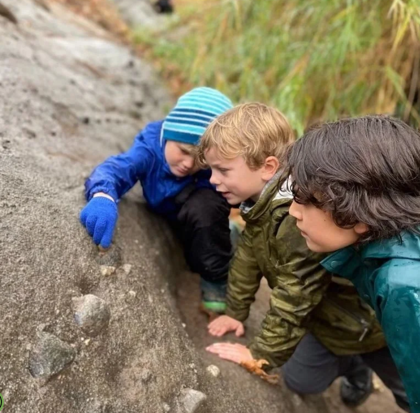 Manzanita School Opens Admissions for the Fall 2026-27 Academic Year at Its Topanga Canyon Campus