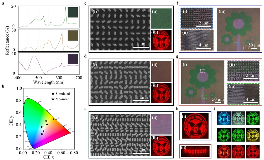 Dual-functional metasurfaces enabling high-efficiency holography and triple-color printing
