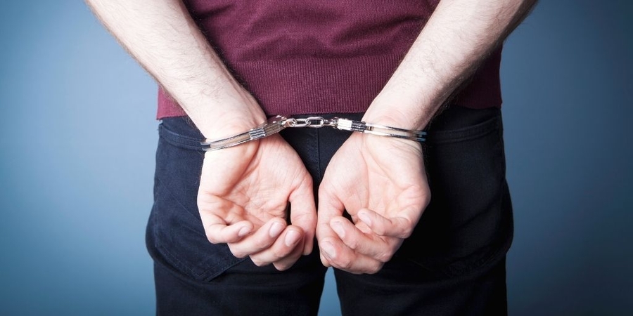 A Comprehensive Overview of Florida Grand Theft Statutes and Defense Strategies