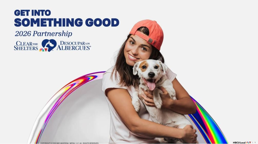 Attorney Brian White Personal Injury Lawyers Sponsors Houston Pets Alive! Adopt-A-Palooza Events