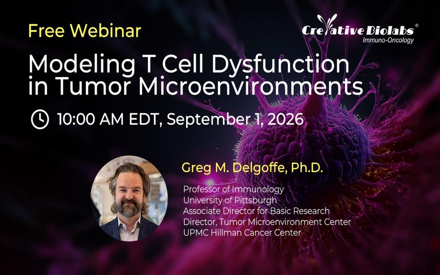 Creative Biolabs Announces Exclusive Webinar on Modeling T Cell Dysfunction in the Tumor Microenvironment