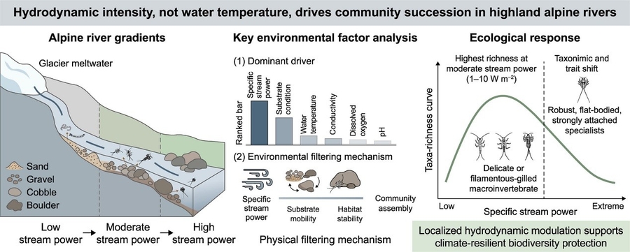 Hydrodynamics shapes life in the roof of the world’s rivers