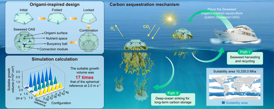 Origami geometry could make open-ocean seaweed farming scalable for carbon sequestration